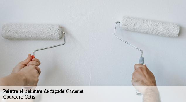 Peintre et peinture de façade  cadenet-84160 Artisan Lagrenee