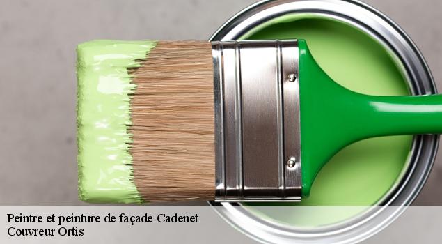 Peintre et peinture de façade  cadenet-84160 Artisan Lagrenee