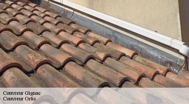 Couvreur  gignac-84400 Couverture Lagrenee