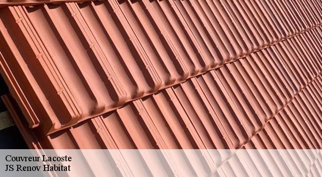 Couvreur  lacoste-84480 JS Renov Habitat 