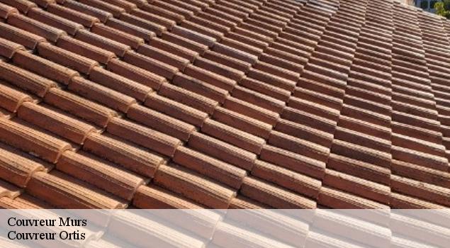 Couvreur  murs-84220 Couverture Lagrenee