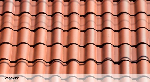 Couvreur  orange-84100 JS Renov Habitat 