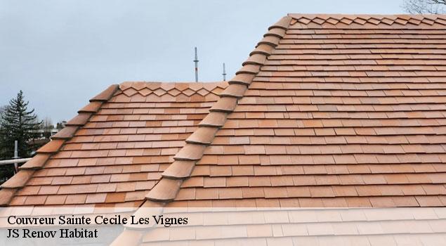 Couvreur  sainte-cecile-les-vignes-84290 JS Renov Habitat 