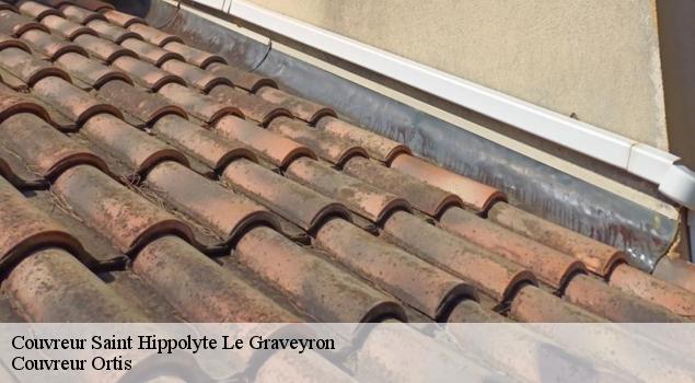 Couvreur  saint-hippolyte-le-graveyron-84330 Artisan Lagrenee