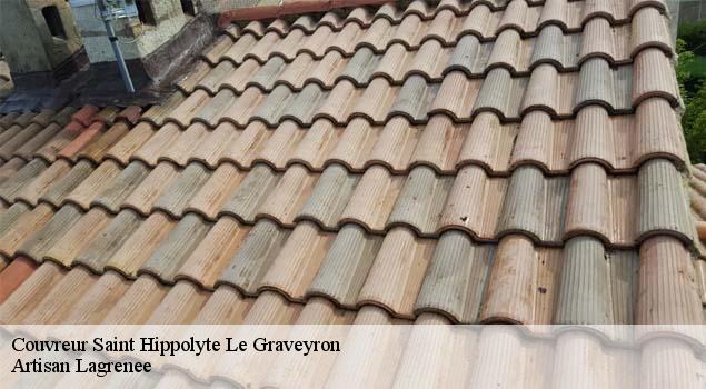 Couvreur  saint-hippolyte-le-graveyron-84330 Couverture Lagrenee