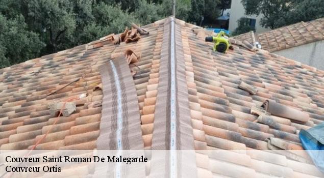 Couvreur  saint-roman-de-malegarde-84290 Artisan Lagrenee