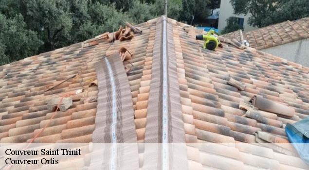 Couvreur  saint-trinit-84390 Artisan Lagrenee
