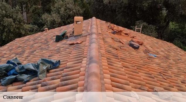 Couvreur  saint-trinit-84390 Artisan Lagrenee