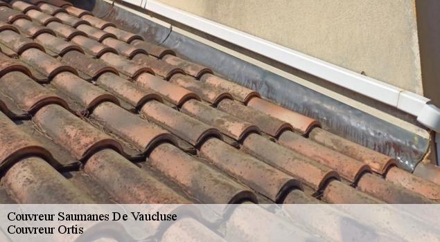 Couvreur  saumanes-de-vaucluse-84800 Artisan Lagrenee