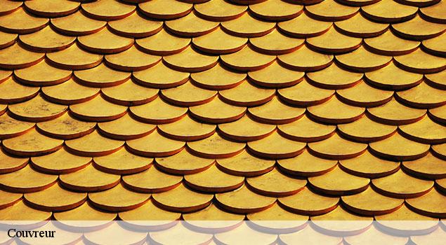 Couvreur  serignan-du-comtat-84830 John Toiture Couvreur 84