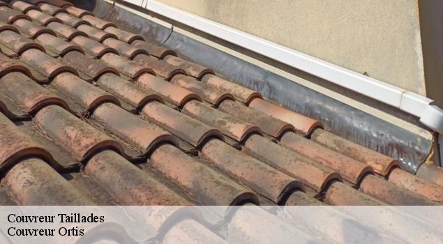 Couvreur  taillades-84300 Artisan Lagrenee
