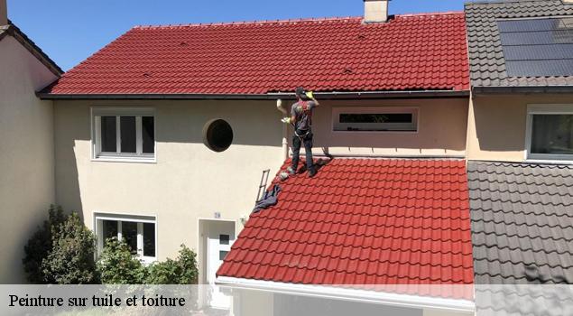 Peinture sur tuile et toiture 84 Vaucluse  Artisan Lagrenee