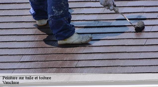 Peinture sur tuile et toiture 84 Vaucluse  Artisan Lagrenee
