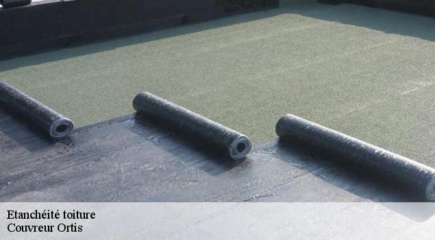Etanchéité toiture   Couverture Lagrenee