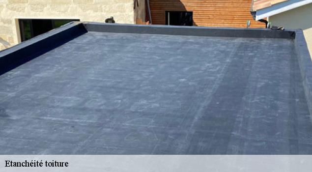 Etanchéité toiture   Couverture Lagrenee
