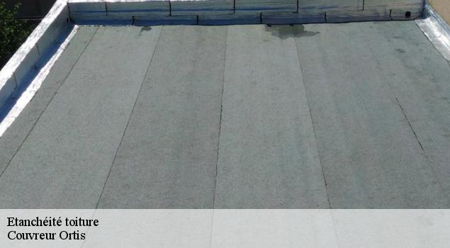Etanchéité toiture   Couverture Lagrenee