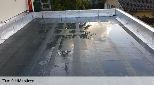 Etanchéité toiture   Couverture Lagrenee