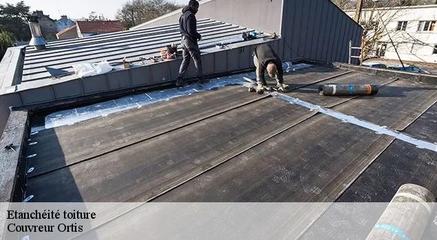 Etanchéité toiture   Couvreur Ortis