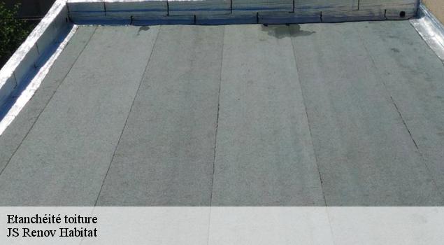 Etanchéité toiture   JS Renov Habitat 