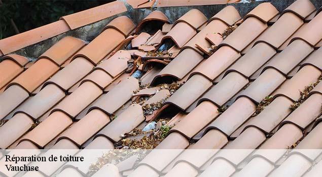 Réparation de toiture 84 Vaucluse  Couverture Lagrenee
