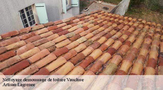 Nettoyage demoussage de toiture 84 Vaucluse  Artisan Lagrenee