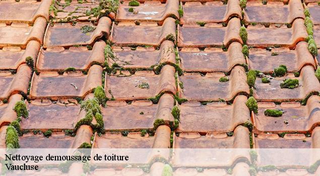 Nettoyage demoussage de toiture 84 Vaucluse  Artisan Lagrenee