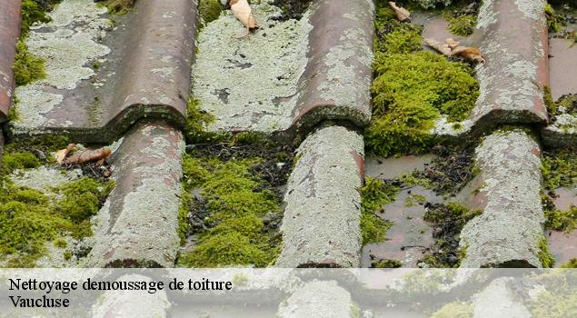 Nettoyage demoussage de toiture 84 Vaucluse  JS Renov Habitat 