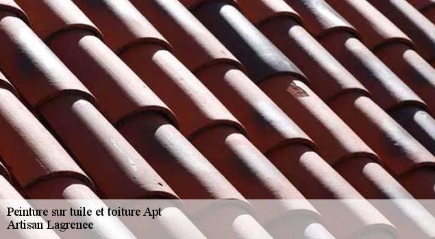 Peinture sur tuile et toiture  apt-84400 Artisan Lagrenee