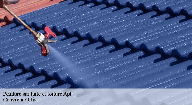 Peinture sur tuile et toiture  apt-84400 Couvreur Ortis