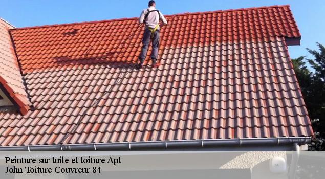 Peinture sur tuile et toiture  apt-84400 John Toiture Couvreur 84