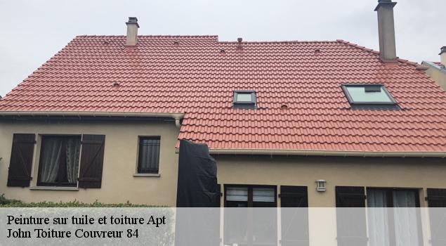 Peinture sur tuile et toiture  apt-84400 John Toiture Couvreur 84