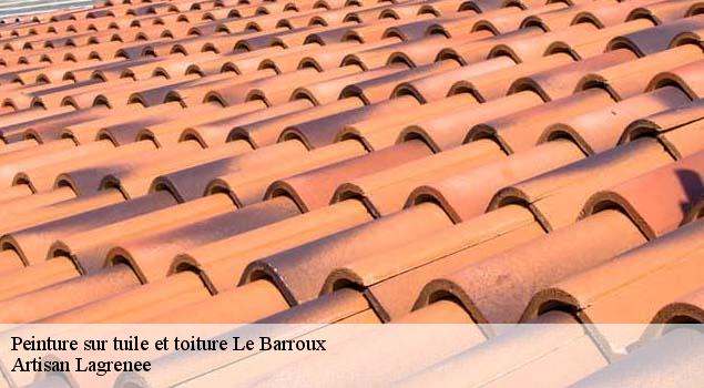 Peinture sur tuile et toiture  le-barroux-84330 Artisan Lagrenee