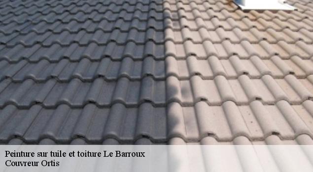 Peinture sur tuile et toiture  le-barroux-84330 Artisan Lagrenee