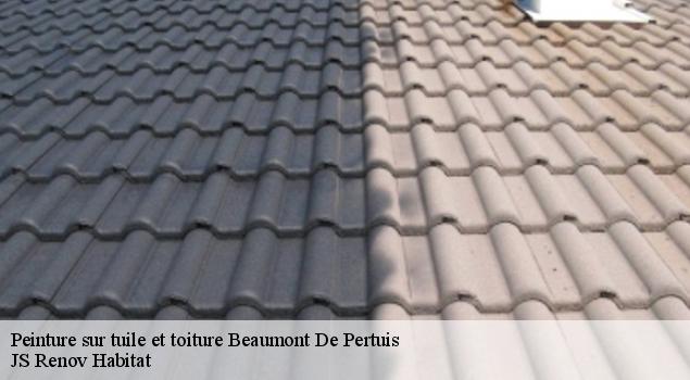 Peinture sur tuile et toiture  beaumont-de-pertuis-84120 JS Renov Habitat 