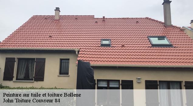 Peinture sur tuile et toiture  bollene-84500 John Toiture Couvreur 84