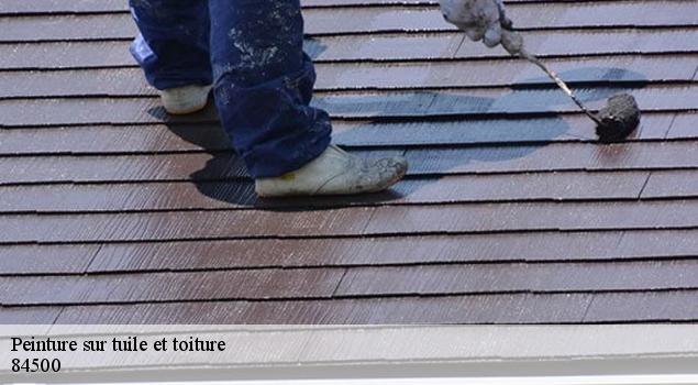 Peinture sur tuile et toiture  bollene-84500 John Toiture Couvreur 84