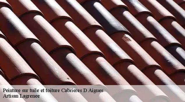 Peinture sur tuile et toiture  cabrieres-d-aigues-84240 Couverture Lagrenee