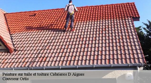 Peinture sur tuile et toiture  cabrieres-d-aigues-84240 Couverture Lagrenee