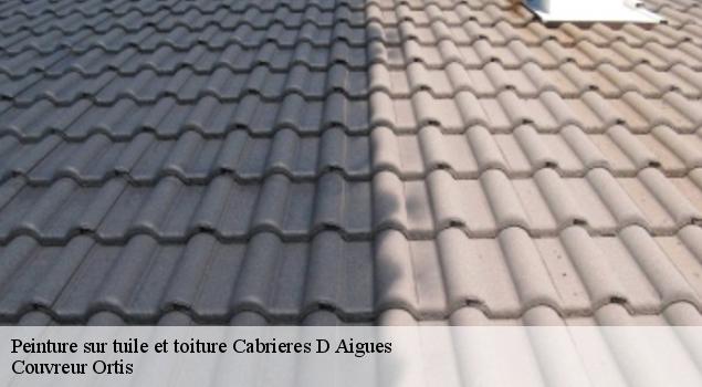 Peinture sur tuile et toiture  cabrieres-d-aigues-84240 Couverture Lagrenee