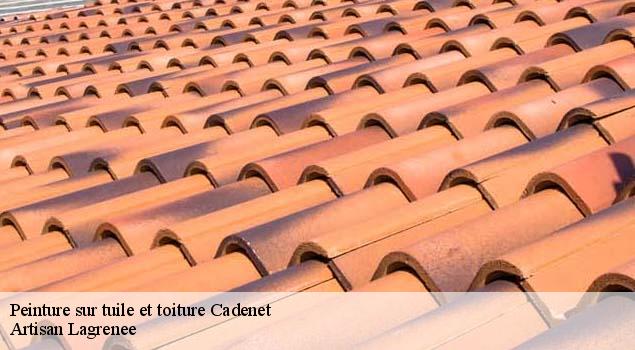 Peinture sur tuile et toiture  cadenet-84160 Couverture Lagrenee
