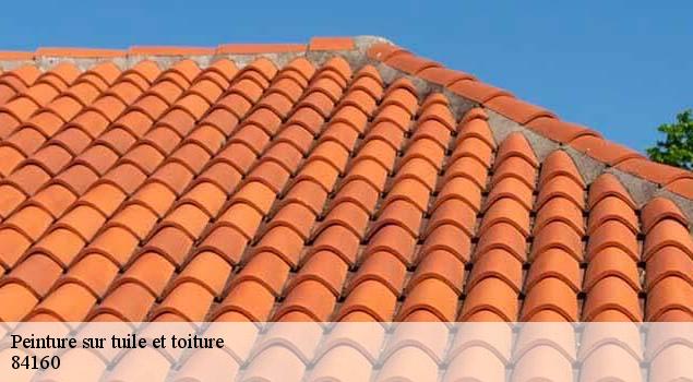 Peinture sur tuile et toiture  cadenet-84160 Couverture Lagrenee