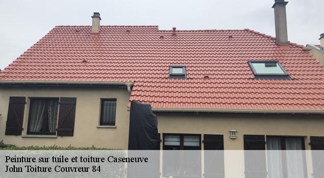Peinture sur tuile et toiture  caseneuve-84750 John Toiture Couvreur 84
