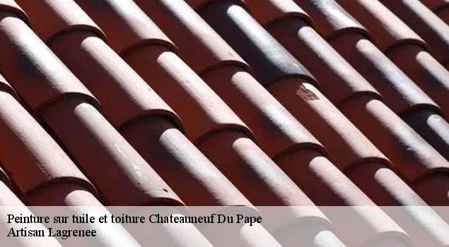 Peinture sur tuile et toiture  chateauneuf-du-pape-84230 Artisan Lagrenee