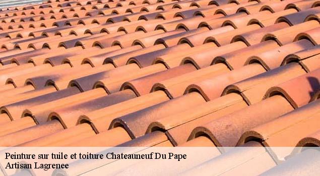 Peinture sur tuile et toiture  chateauneuf-du-pape-84230 Artisan Lagrenee