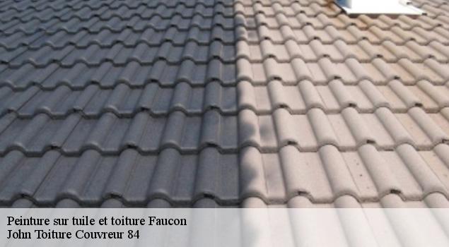 Peinture sur tuile et toiture  faucon-84110 John Toiture Couvreur 84