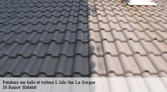 Peinture sur tuile et toiture  l-isle-sur-la-sorgue-84800 JS Renov Habitat 