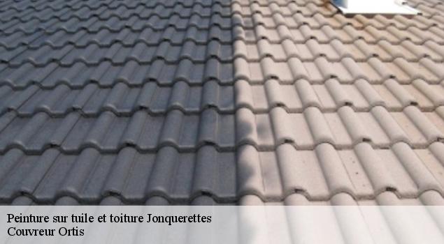 Peinture sur tuile et toiture  jonquerettes-84450 Couvreur Ortis