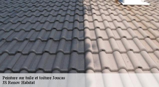 Peinture sur tuile et toiture  joucas-84220 JS Renov Habitat 
