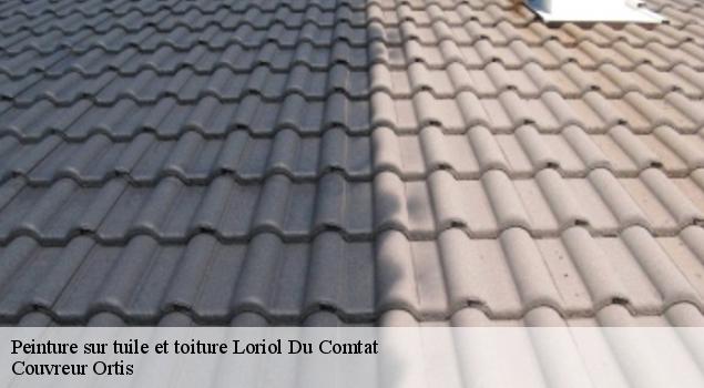 Peinture sur tuile et toiture  loriol-du-comtat-84870 Couverture Lagrenee