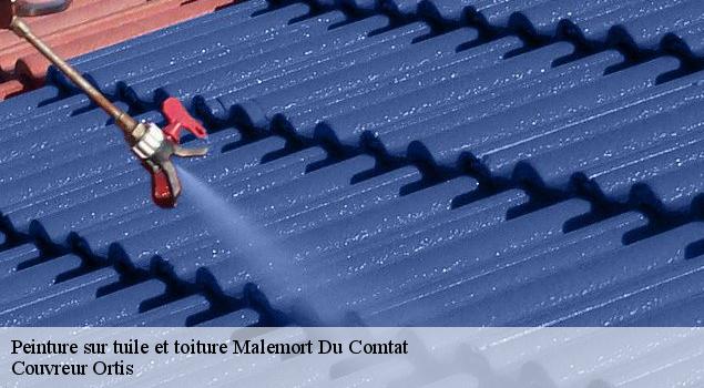 Peinture sur tuile et toiture  malemort-du-comtat-84570 Couvreur Ortis
